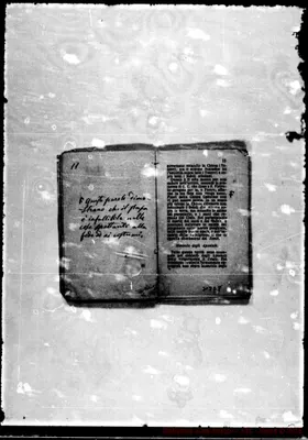 Fotogramma D 8