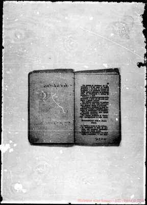 Fotogramma D 10
