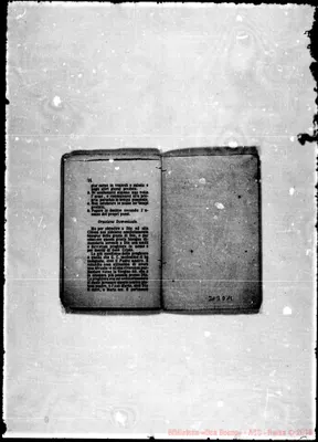 Fotogramma D 11