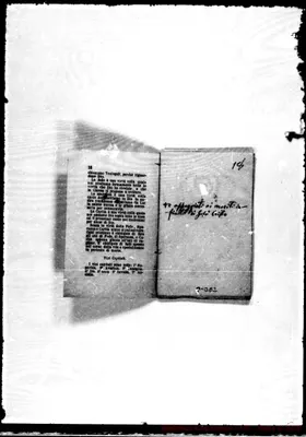 Fotogramma E 2
