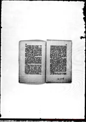 Fotogramma E 6