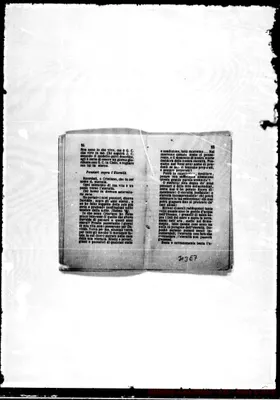Fotogramma E 7