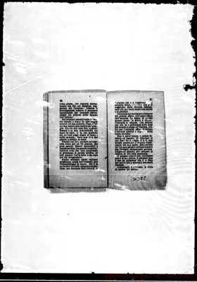 Fotogramma E 8