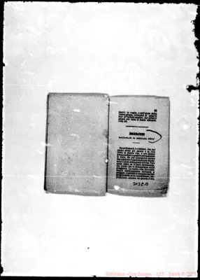 Fotogramma E 10