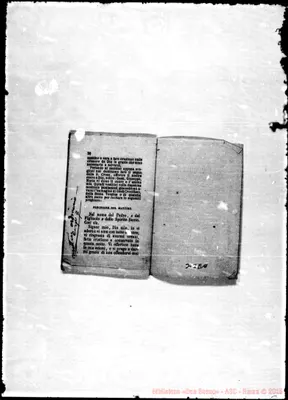 Fotogramma E 11