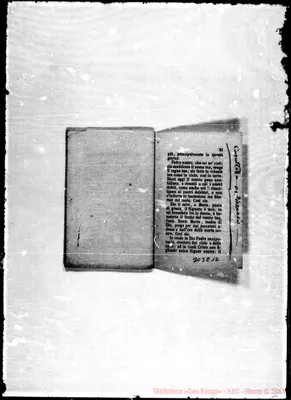 Fotogramma E 12