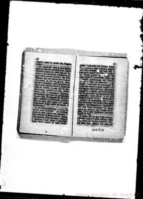 Fotogramma B 11