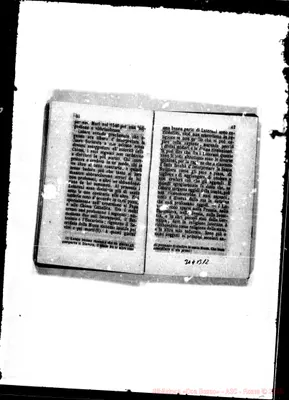 Fotogramma B 12