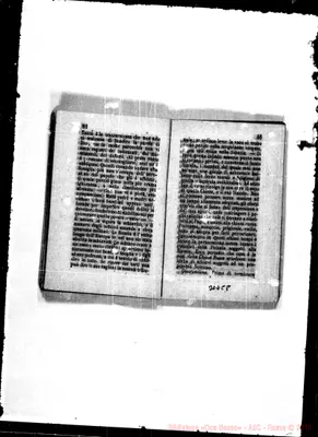 Fotogramma C 8
