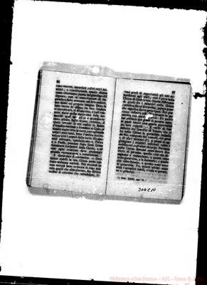 Fotogramma C 10