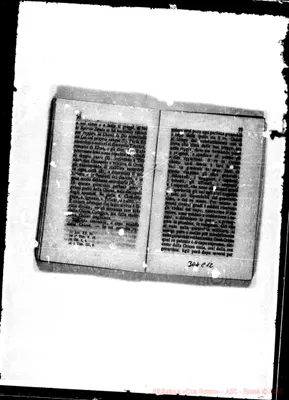 Fotogramma C 12