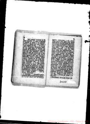 Fotogramma D 7