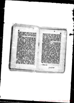 Fotogramma D 9