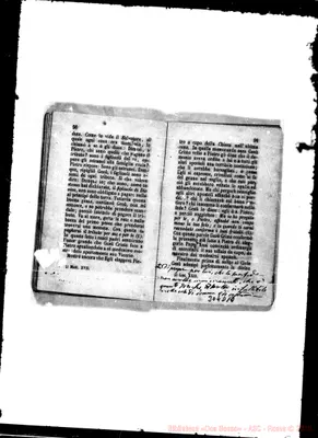 Fotogramma D 10