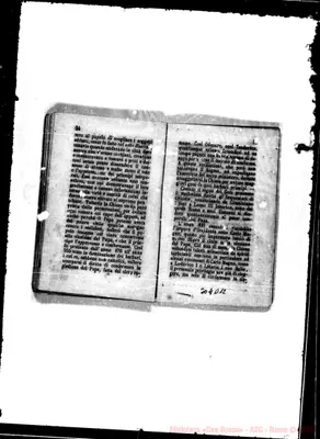 Fotogramma D 12