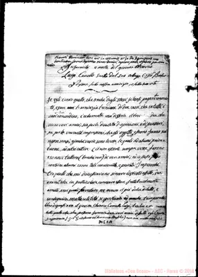 Fotogramma C 11