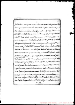Fotogramma D 3