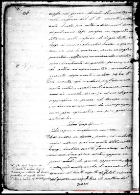 Fotogramma C 11