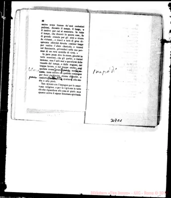 Fotogramma C 1