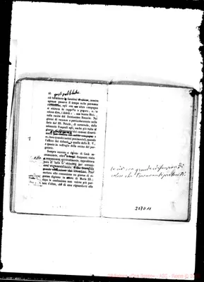 Fotogramma D 11