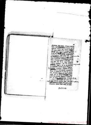 Fotogramma D 12