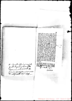 Fotogramma A 10