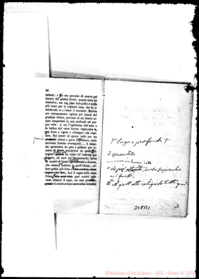 Fotogramma B 1