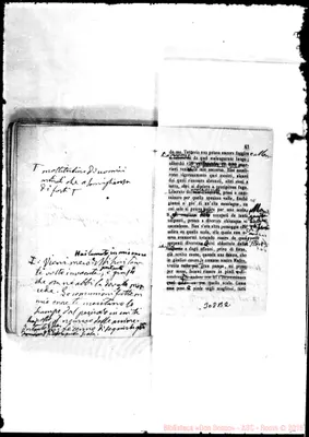 Fotogramma B 2
