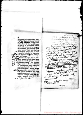 Fotogramma B 3