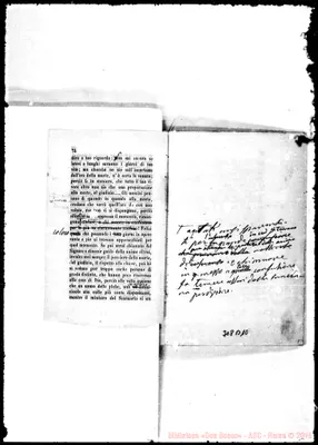 Fotogramma B 10