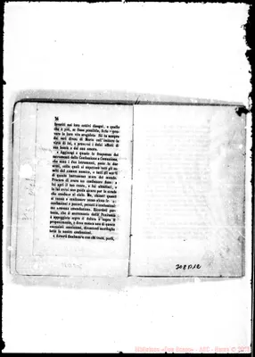 Fotogramma B 12
