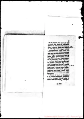 Fotogramma C 1