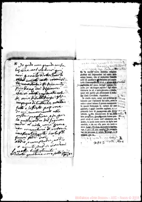 Fotogramma C 3