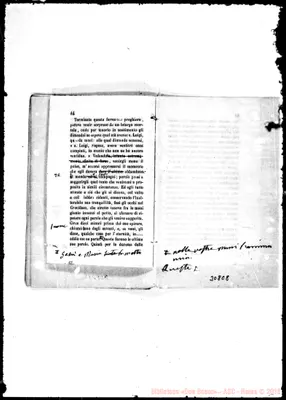 Fotogramma C 8