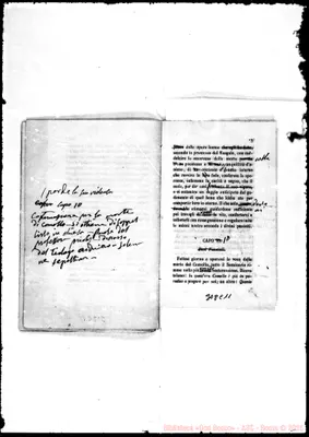 Fotogramma C 11