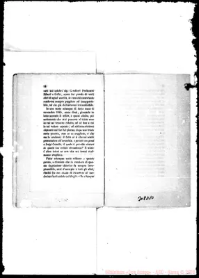 Fotogramma D 10