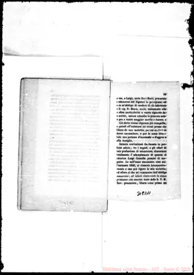 Fotogramma D 11