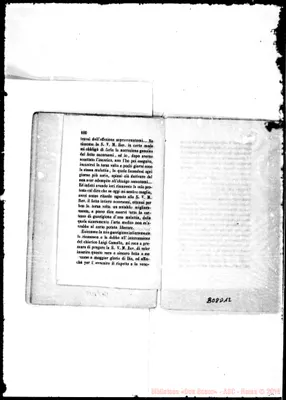 Fotogramma D 12