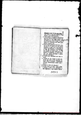 Fotogramma B 3