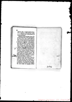 Fotogramma C 6