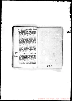 Fotogramma C 8