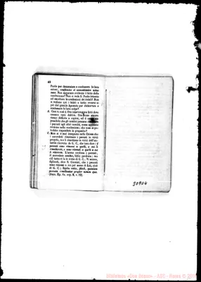 Fotogramma D 4