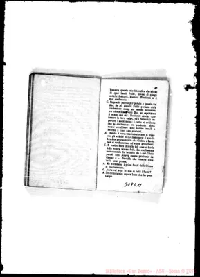 Fotogramma D 11