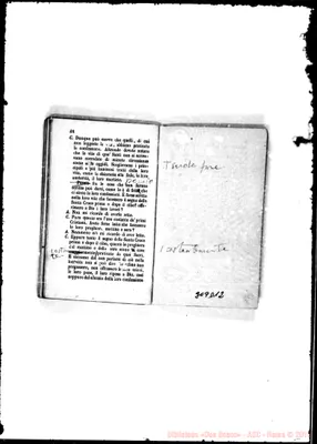 Fotogramma D 12
