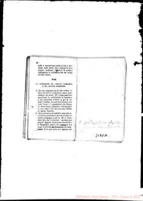 Fotogramma E 10