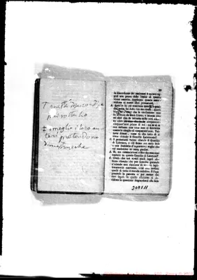 Fotogramma E 11