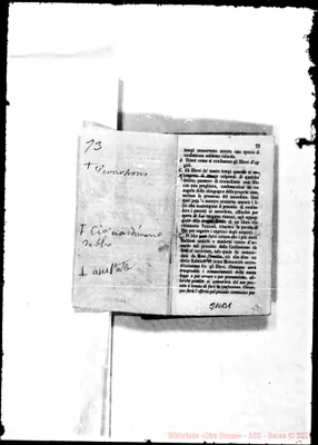 Fotogramma B 1