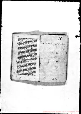 Fotogramma B 4
