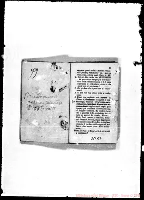 Fotogramma B 7