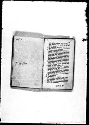 Fotogramma B 11